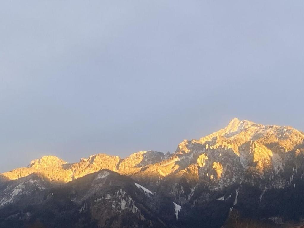 Alpenblick Comfortable *